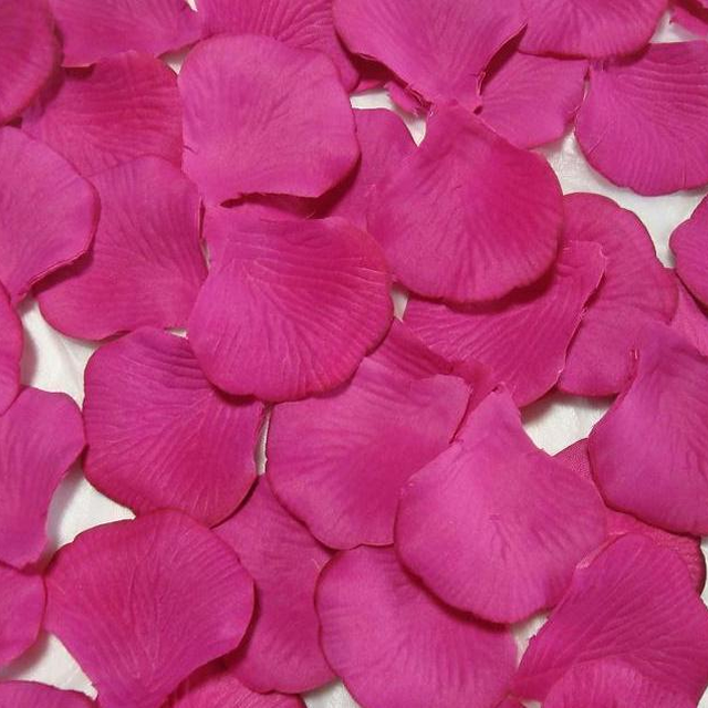 Ivory Brushed Silk Rose Petals