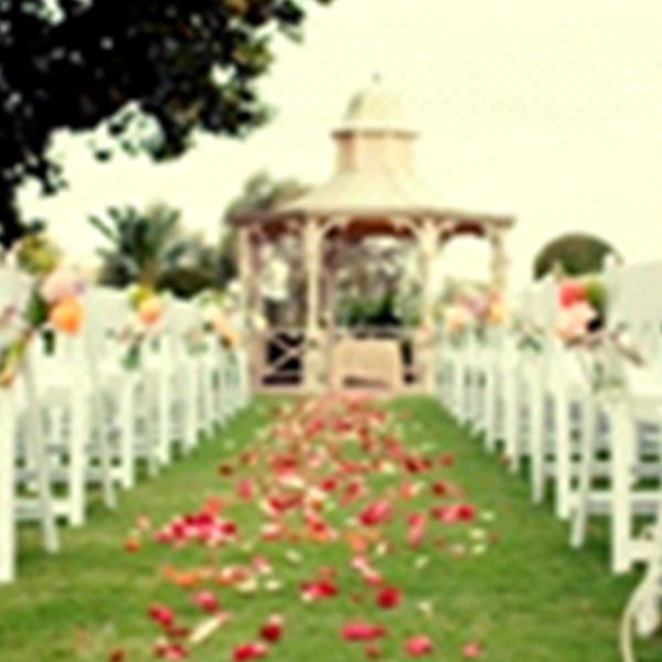 Top Wedding Venues Samford of the decade The ultimate guide 