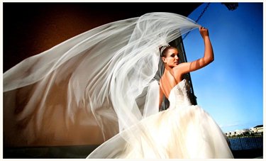 Garlic Clove Restaurant Wedding Venues Carrara Easy Weddings