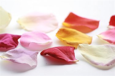 Simply Rose Petals Wedding Decorations Swan Hill Easy Weddings