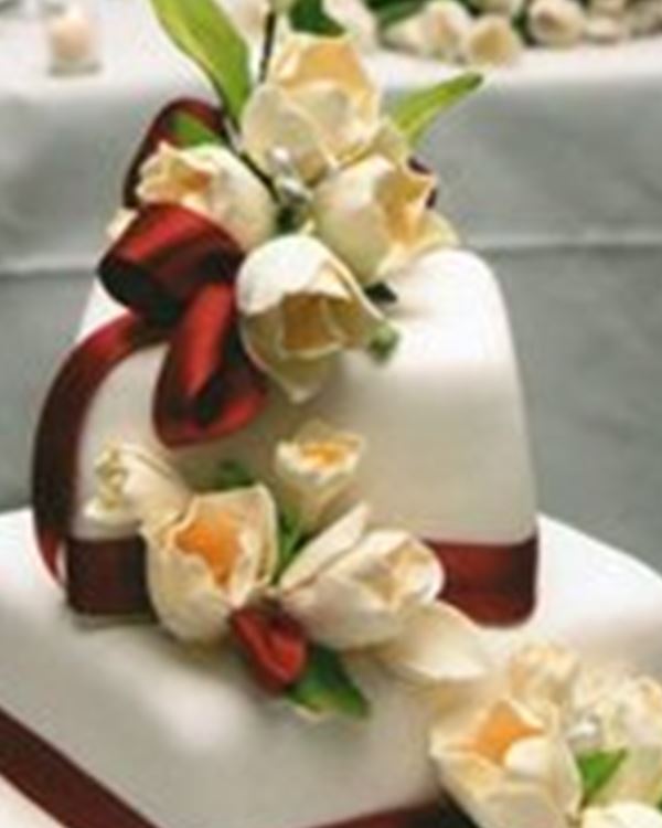 Cakes Port Macquarie Cakes Port Macquarie