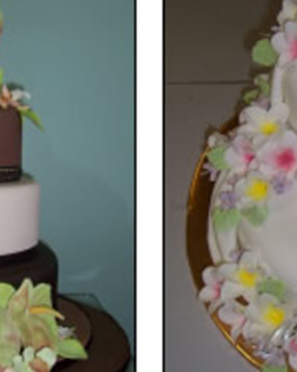 Plaza Cake Shop Cairns Plaza Cake Shop Cairns