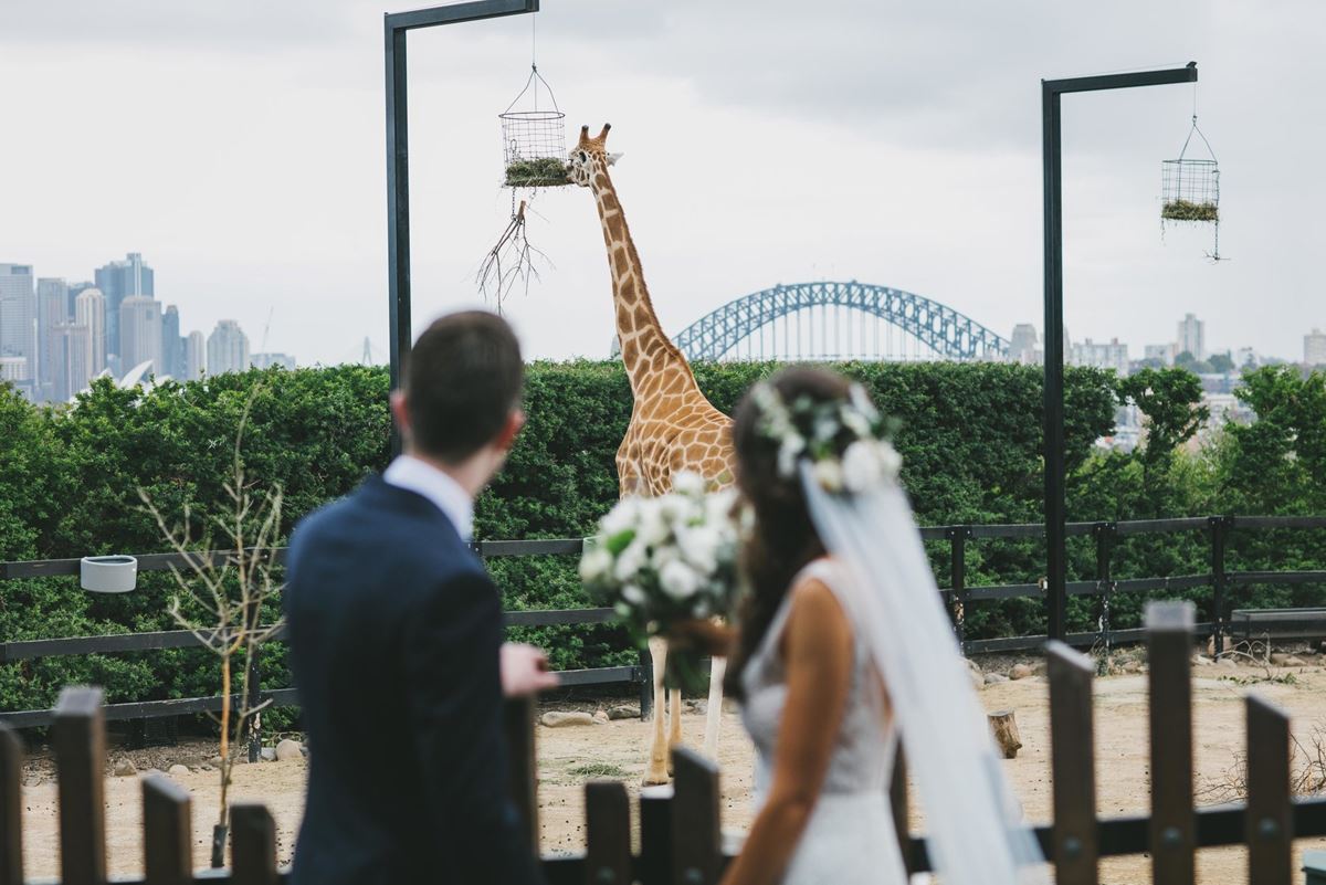 Taronga Zoo Weddings